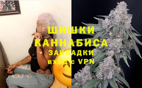 шишки Бородино