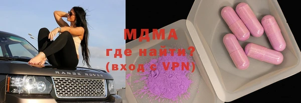 шишки Бородино