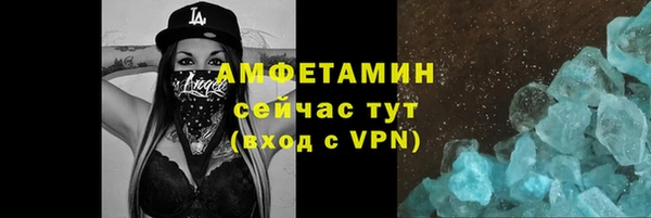 шишки Бородино
