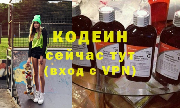 шишки Бородино